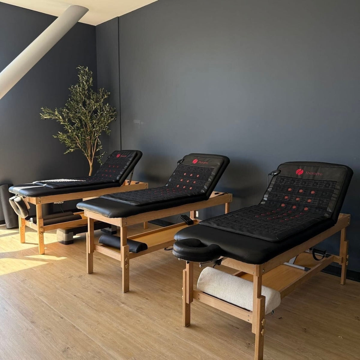 Therasage TheraPro Large PEMF Pad | Infrared Heat & Red Light