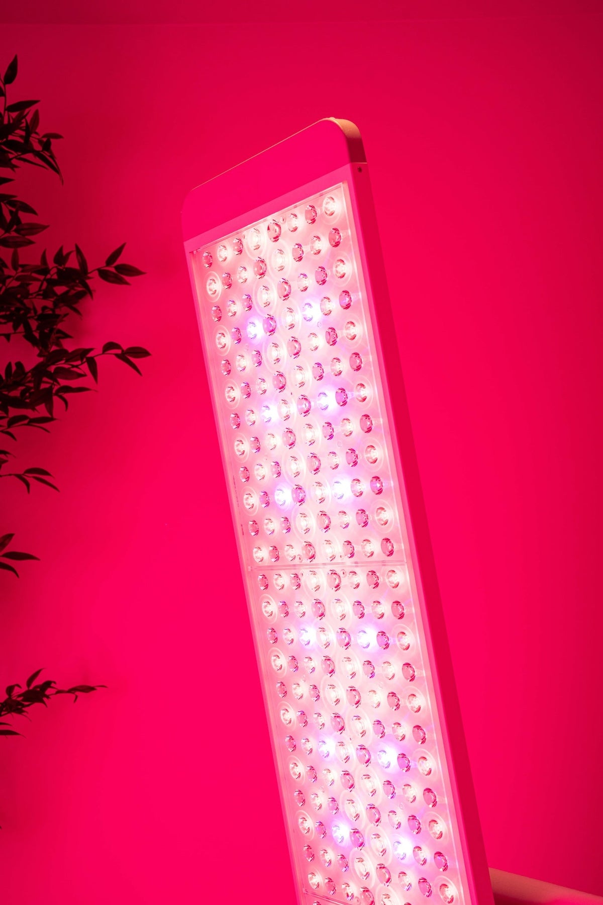 Renew Red Light Panorama Panel | 7-Wavelength Adjustable LED Therapy Panel | 480 LEDs | 360° Rotating Stand